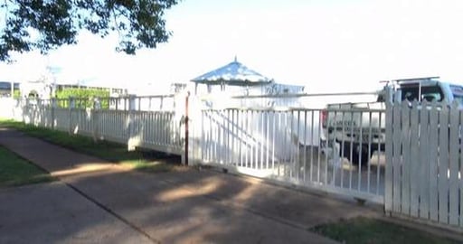 Catching up with friends Husky Mack & Golden Retriever