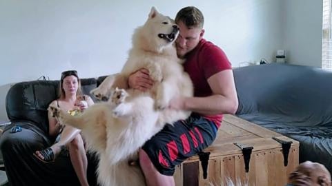 My Husky Reunited With Her Brother She's Loving Her Hugs2...