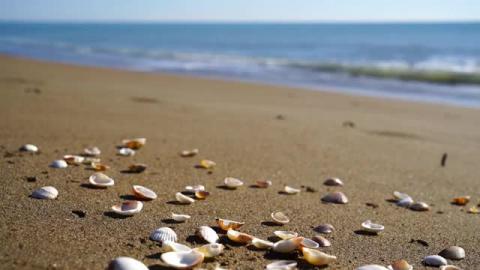 Relax music. _ Meditation, Sleep, Stress 2025