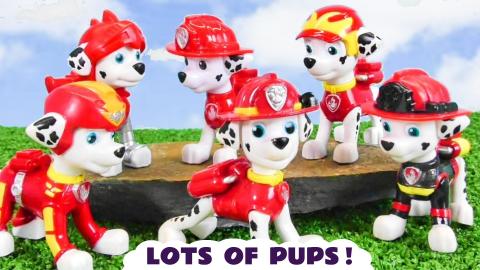 Paw Patrol Magic Stoy with lots and lots of Pups