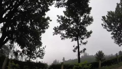 Leaving Misty Munnar | Kerala