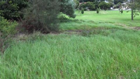 Signs say no swimming, umm don't you need water for that