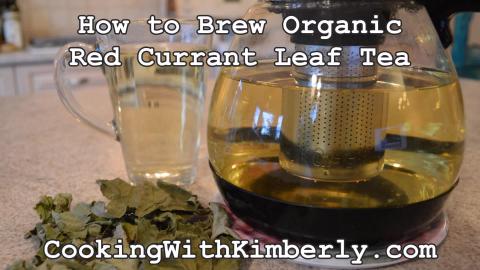 How to Brew Organic Red Currant Leaf Tea: Made in Niagara...