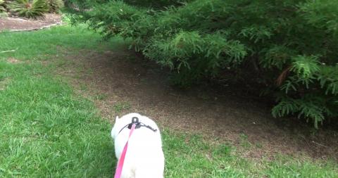 West Creek has a strange setup