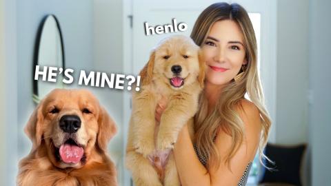 My Dog Becomes a Father | Part 1