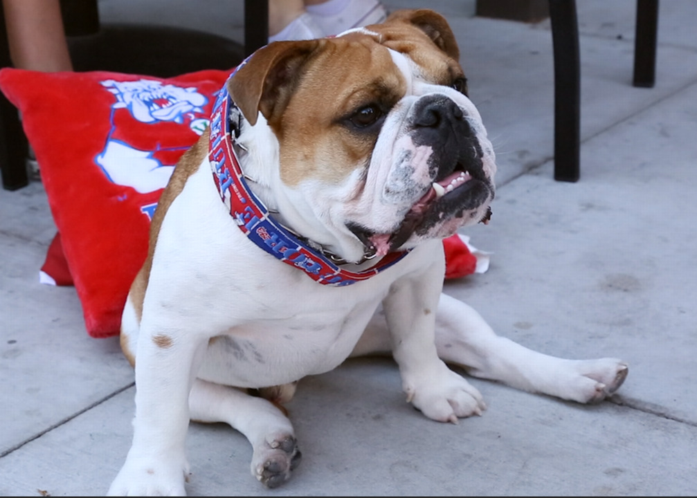 Victor E. Bulldog III and TimeOut Fresno State Bulldogs