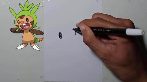 Drawing Pokemon Chespin Shorts
