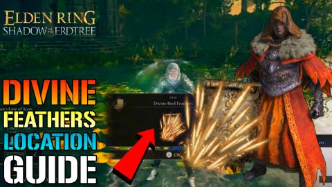 Elden Ring: "Divine Bird Feathers" Incantation Guide! How...