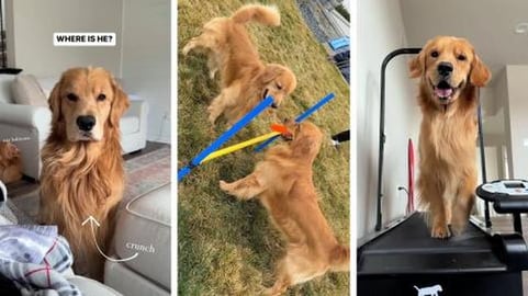 Why Does He Have So Much Energy?!