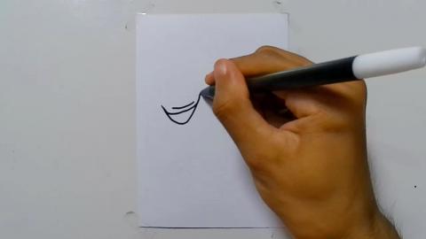 Drawing Graffiti urban pigeon cartoon shorts