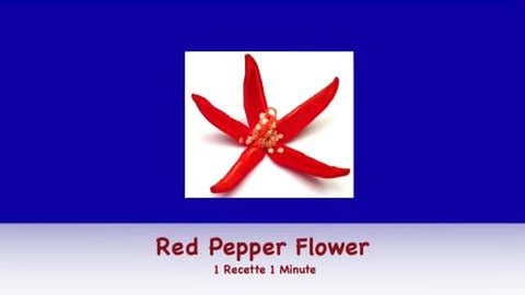 Red Pepper Flower (shorts)