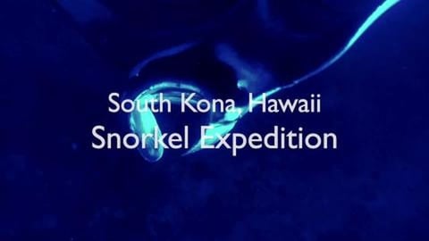 Sea Quest Hawaii - South Kona Snorkel Expedition and Nigh...