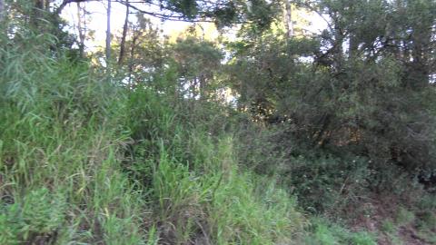 Crazy young driver thinks his truck is a rally car