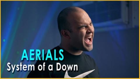 AERIALS - System of a Down (COVER) | Luis Herrera