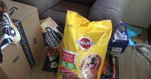 Malamute & Husky try Pedigree dog food for first time