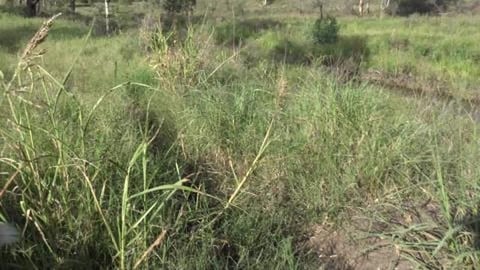 Check out our largest river & what are they farming