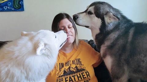 Tonka & Monroe Meet Their New Nanny! They Howl When I Lea...