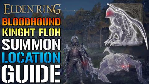 Elden Ring: Bloodhound Knight Floh SUMMON Is A BEAST! Her...