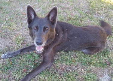 Toilet Paper Challenge