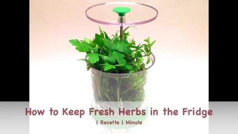 How to Keep Fresh Herbs in the Fridge (shorts)