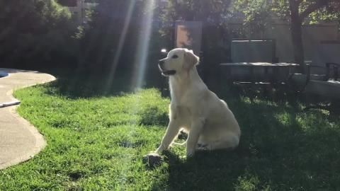 Lola Rocking and Rolling Rocks