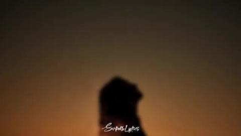 nilu - Are You With Me (Lyrics)