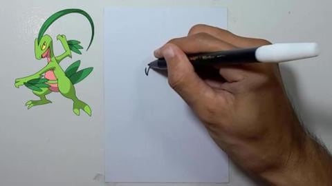 Drawing Pokemon GROVYLE