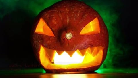 Jack O'Lantern Pumpkin for Halloween (shorts)