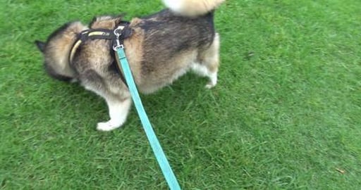 Talking about the 2032 Olympic games coming to Queensland...