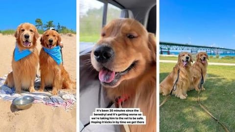 OH NO I Got Bit by a Spider!