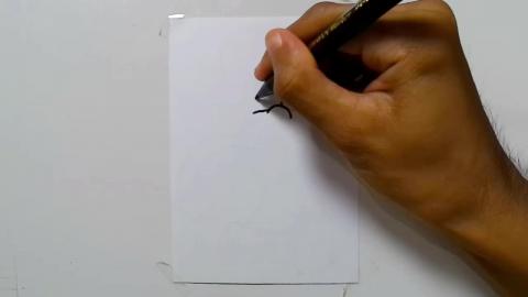 Drawing Graffiti urban banana cartoon shorts