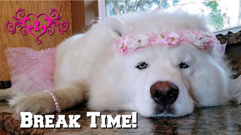 Breakfast With The WaterWolves | Fried Egg Stuffed French...