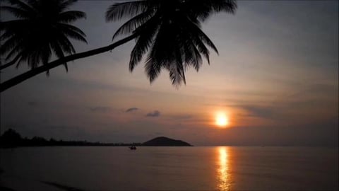 Magic lens | Paradise Island