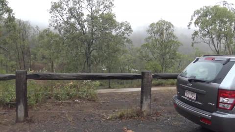 Huskies chase kangaroos on a tough hike
