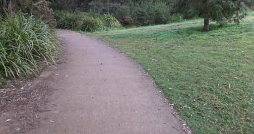 Should cats be registered and kept like dogs