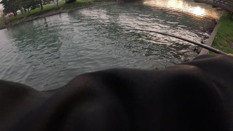 Big Fish hooked