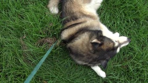 We got 50mm of rain and downtown got 100mm during the sto...