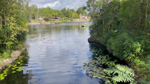 Christmas - Animal Kingdom - Chip n' Dale Watercade from ...