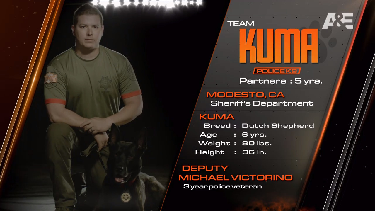 Modesto CA sheriff's deputy, K9 compete on Top Dog Modesto Bee