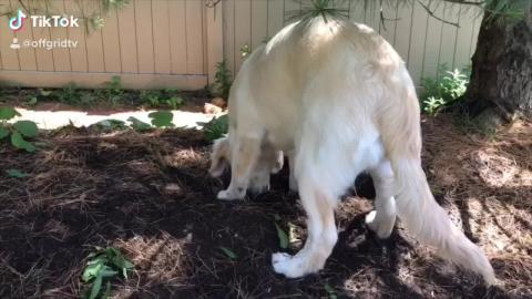 Winter arrives in Canada.