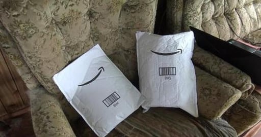 Husky's enjoying their Aunt Bonnie's Christmas presents