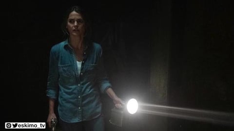 Last Night In Soho, Antlers,  My Hero Academia: World Her...