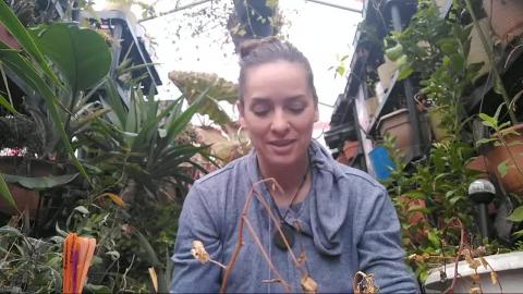 Easiest Veggie Seeds To Plant: Kitchen Gardening with Kim...