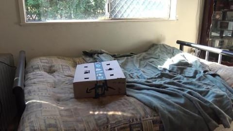 Huskies try a new game with hotdogs