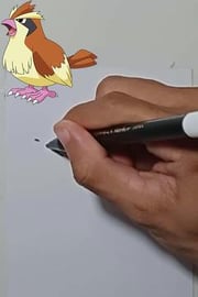 Drawing Pokemon PIDGEY