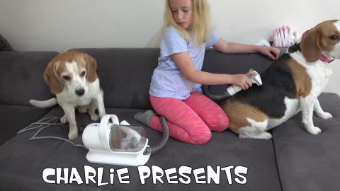 Best Way to Deal With Dog Hair : Cute Dogs Testing Neabot...