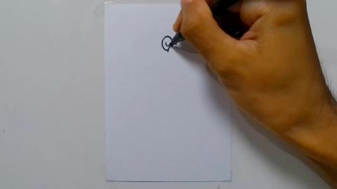 Drawing Baby Dinosaur shorts