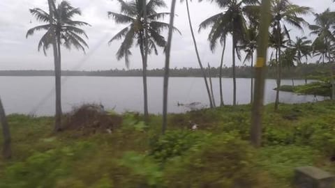 Backwaters & Boat Club | Kerala