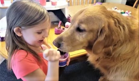 Dogs Get A Bite Of Yogurt!