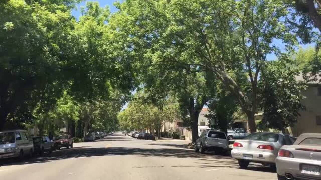 How much cooler is it in the shade? The Sacramento Bee